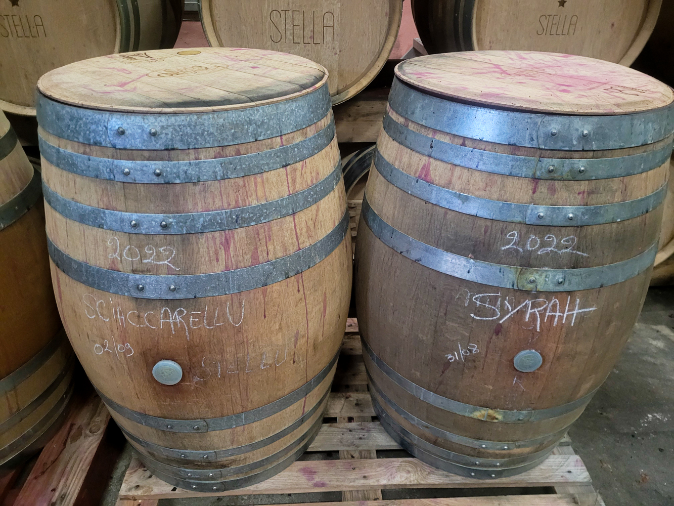 Cuvée PARTICULARE BDN - Blanc IGP Ile de Beauté