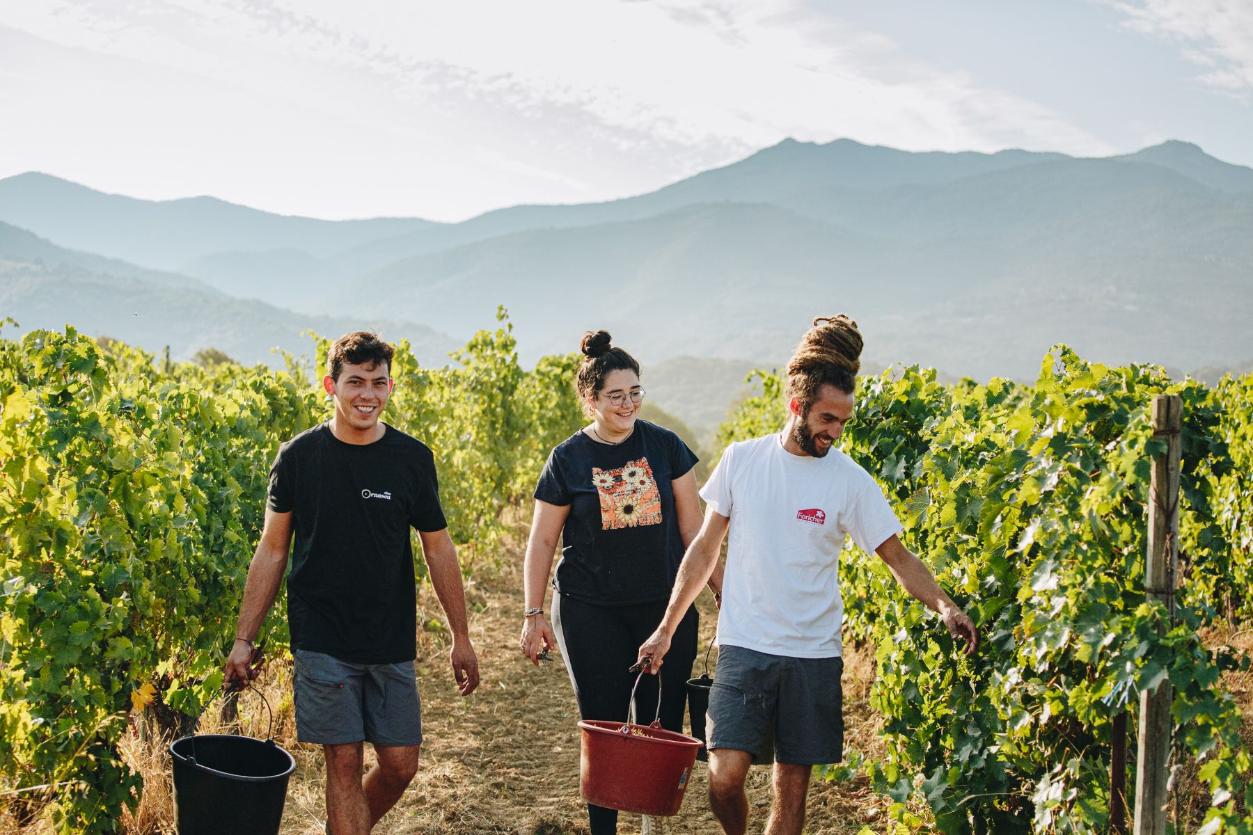 Cuvée TANDEM - Rouge frais AOC Ajaccio